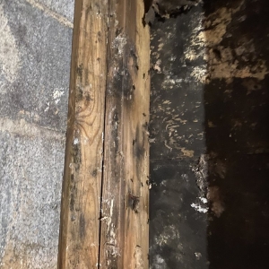 Photo of Carranza Roofing & Remodeling