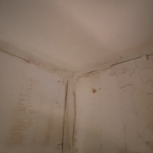 Photo of Carranza Roofing & Remodeling