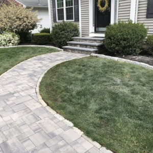 Photo of Pristine Lawn Care