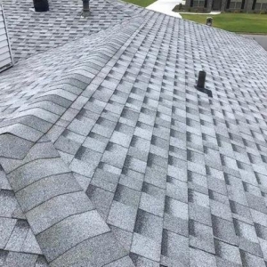 Photo of Pro Roofing and Remodel