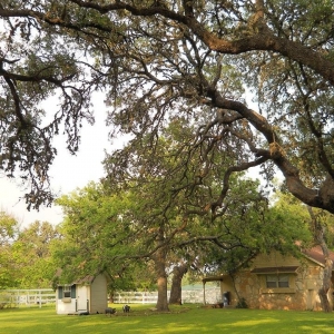 Photo of Texan House