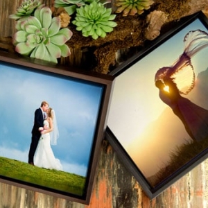 Photo of Circle Graphics