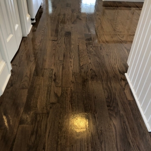 Photo of Carvalho Junior Hardwood Floors