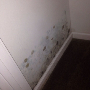 Photo of HCF Cleaning & Restoration