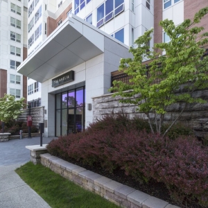 Photo of The Amelia Apartments