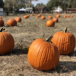 Photo of Four Mile Historic Park
