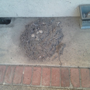 Photo of Blodgett's Cleaning Services