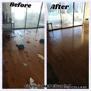 Photo of Celene's Residential and Business Cleaning
