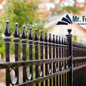 Photo of Mr. Fence