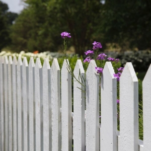 Photo of Mr. Fence