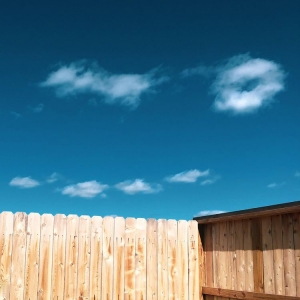 Photo of Mr. Fence