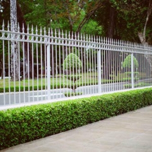 Photo of Mr. Fence