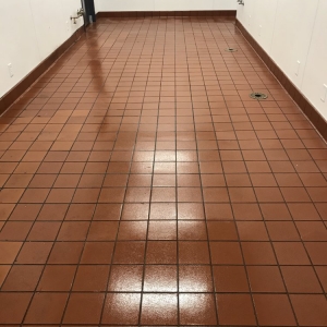 Photo of SteamForce Advanced Cleaning Technology Solutions