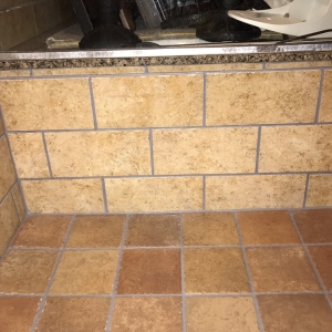 Photo of SteamForce Advanced Cleaning Technology Solutions