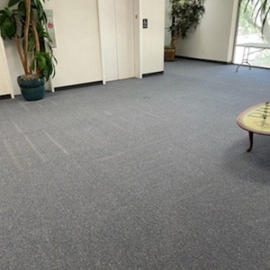 Photo of Jetty Carpet Cleaning