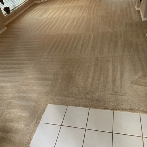 Photo of Jetty Carpet Cleaning