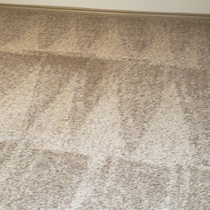 Photo of Jetty Carpet Cleaning