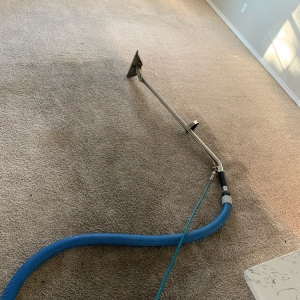 Photo of Jetty Carpet Cleaning