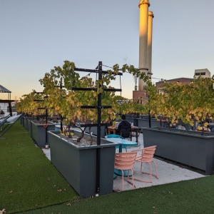 Photo of Rooftop Reds