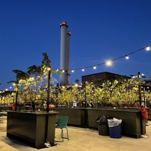 Photo of Rooftop Reds