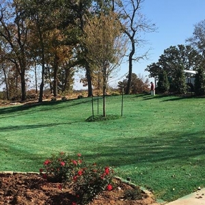 Photo of Willis Lawn Services