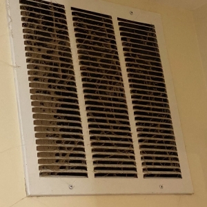 Photo of Neat N Tidy