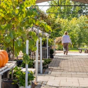 Photo of Passiglia's Nursery & Garden Center