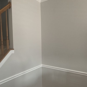 Photo of Paint Pros Plus