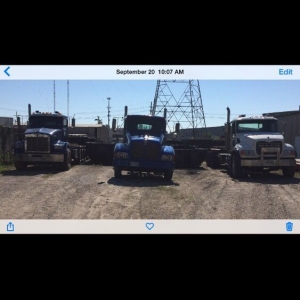 Photo of Moley Disposal