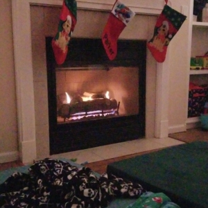 Photo of Gilbert Fireplaces & BBQ's