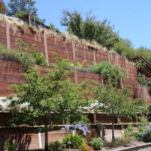 Photo of Adobe Soil & Structures Engineering Contractors