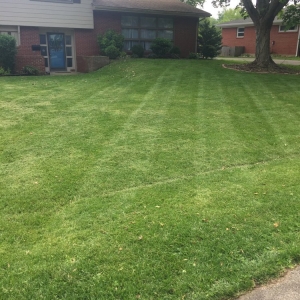 Photo of Turf Club Lawn & Landscape