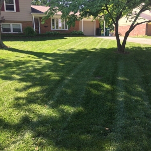 Photo of Turf Club Lawn & Landscape