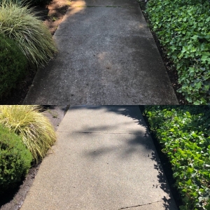 Photo of Top 2 Bottom Services