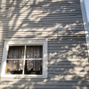 Photo of Ed & Son's Painting and repairs