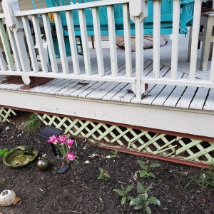 Photo of Ed & Son's Painting and repairs