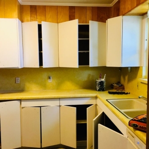 Photo of Jr's professional painting