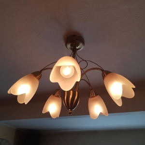 Photo of Columbus Licensed Electrician
