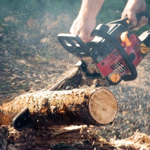 Photo of Greenlawn Landscaping