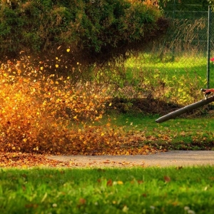 Photo of Greenlawn Landscaping