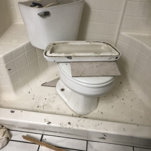 Photo of Apex Maintenance Service