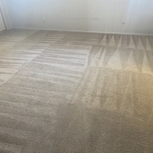 Photo of Blue Ribbon Carpet Cleaning