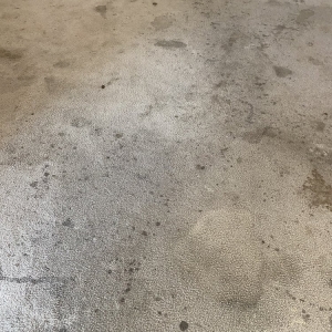 Photo of Blue Ribbon Carpet Cleaning