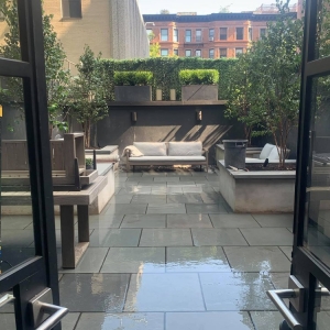 Photo of Greener Gardens Of New York