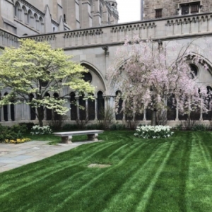 Photo of Greener Gardens Of New York