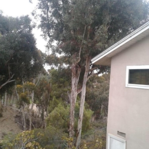 Photo of Alde Landscaping