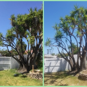 Photo of Alde Landscaping