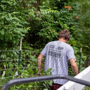 Photo of Coop Fence and Construction