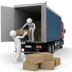 Photo of Super Movers