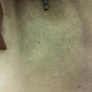 Photo of Sherry Fields Cleaning
